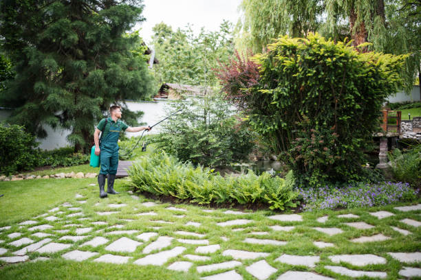 Best Arborist Consultation Services  in Westwood, KY